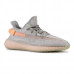 Adidas Yeezy Boost 350 v2 True Form Adidas Yeezy Boost 350 v2 True Form